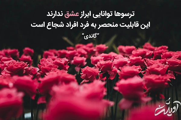 جملات عاشقانه دلنشین و زیبا از بزرگان